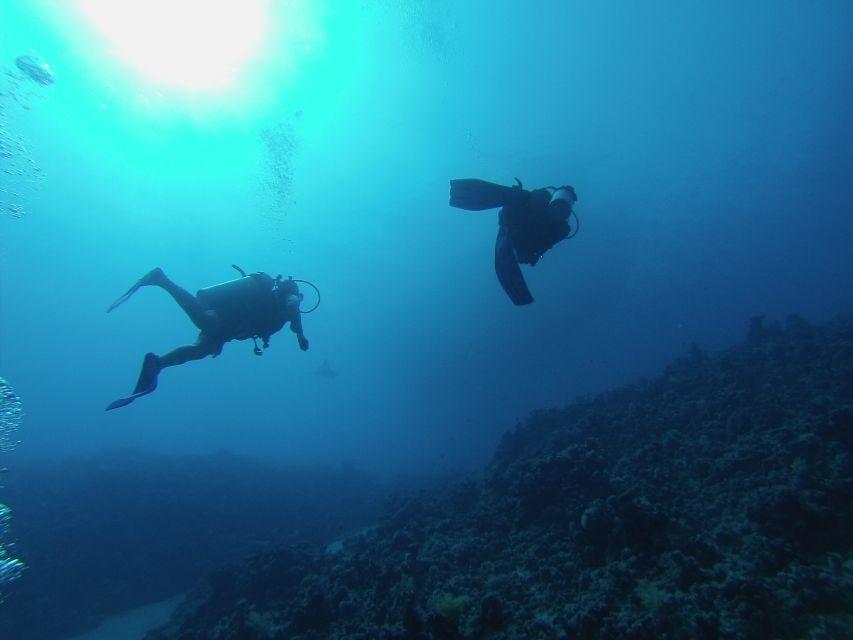 Sharm El Sheikh: Ras Mohamed, White Island, Snorkel & Diving - The Sum Up