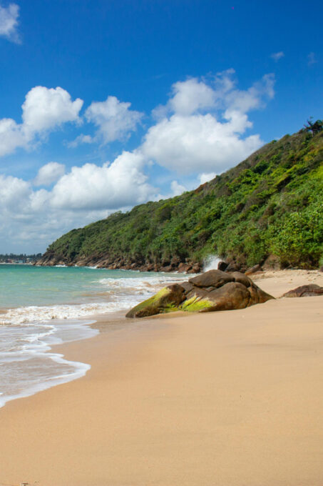 Short Break Sri Lanka South-West Coast 3-Day Tour - Inclusions