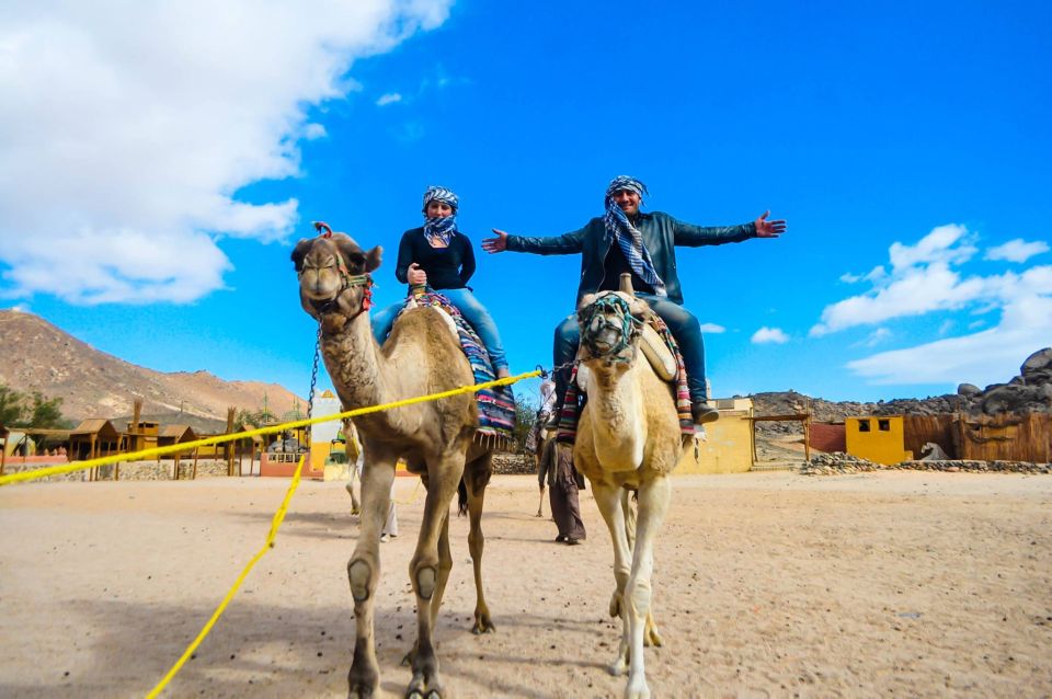 Soma Bay: ATV Quad Safari, Bedouin Village & Camel Ride - The Sum Up