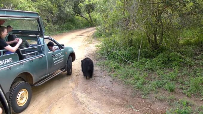 Sri Lanka 2-Day National Parks Trip - Frequently Asked Questions