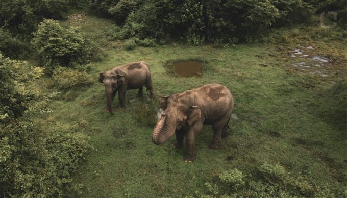 Sri Lanka 3-Day - South Coast, Cultural Triangle, Wildlife - Frequently Asked Questions