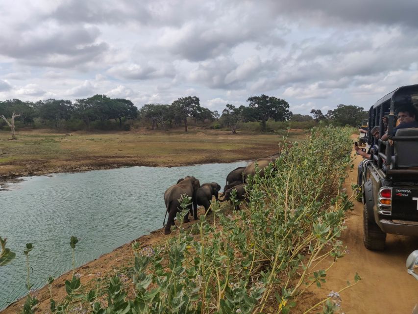 Sri Lanka: Yala National Park Private Safari - Frequently Asked Questions