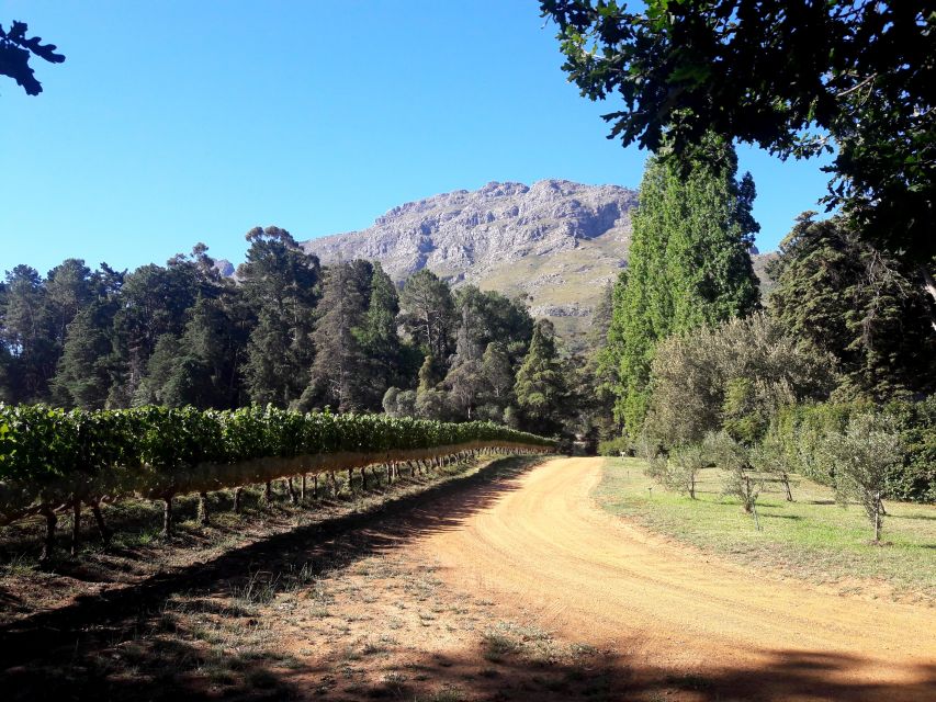 Stellenbosch: Cape Winelands Private Tour Half Day Tour - Frequently Asked Questions