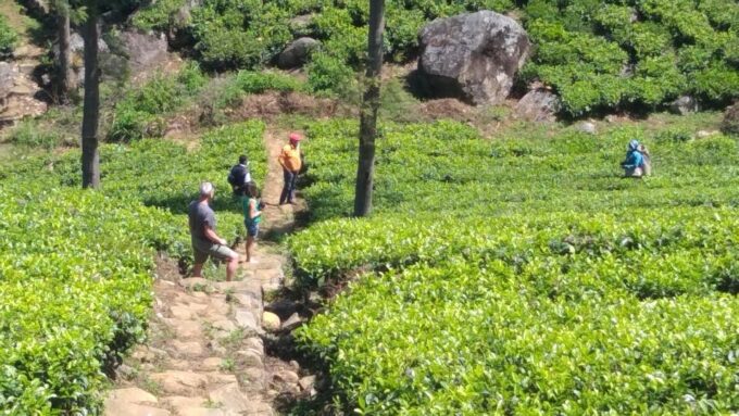 Trekking From Kandy to Ella - Frequently Asked Questions
