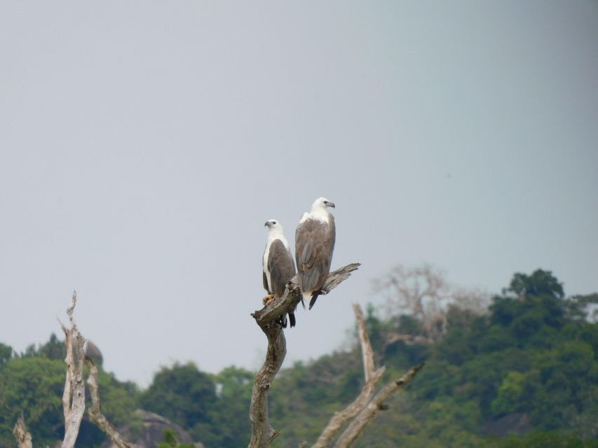 Udawalawe Safari Tour From Tissamaharama / Hambantota Areas - Frequently Asked Questions