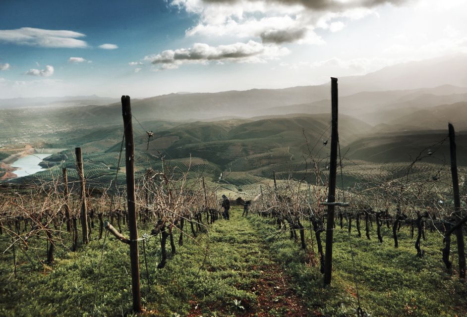 Vatolakkos, Crete: Organic Winery Tour With Tasting - Frequently Asked Questions