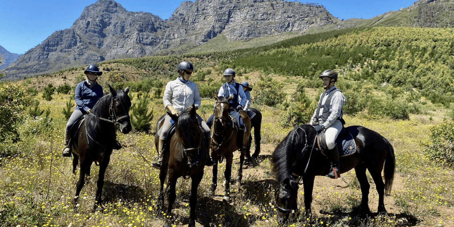 Vrede En Lust Wine Estate: 1H Breakfast Horse Trail - The Sum Up