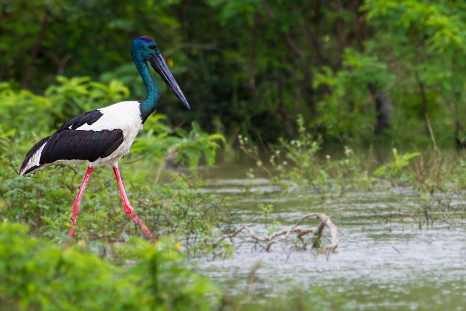 Wilpattu National Park Safari Tour - Frequently Asked Questions