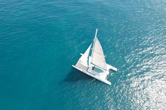 A Day at Sea Aboard Mundo Marino Catamaran in Valencia - Overview of Mundo Marino Catamaran