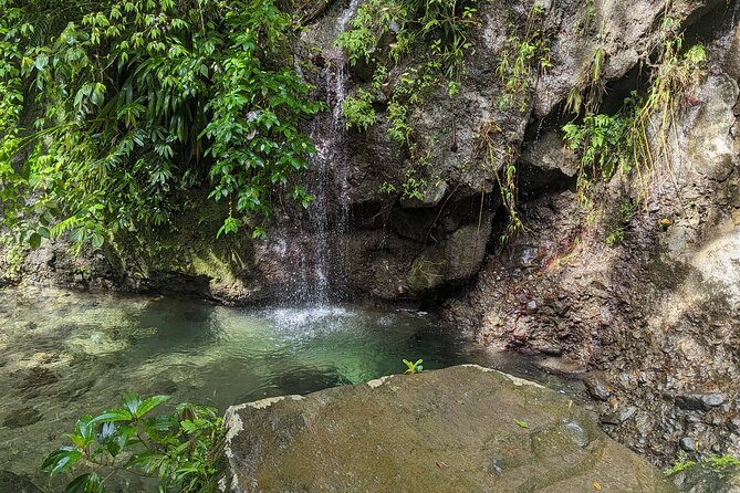 A Day of Relaxation in the Jungle and Waterfalls of Dominica - Tour Overview