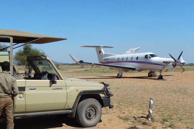 A Day Trip To Selous Fly From Zanzibar - Good To Know