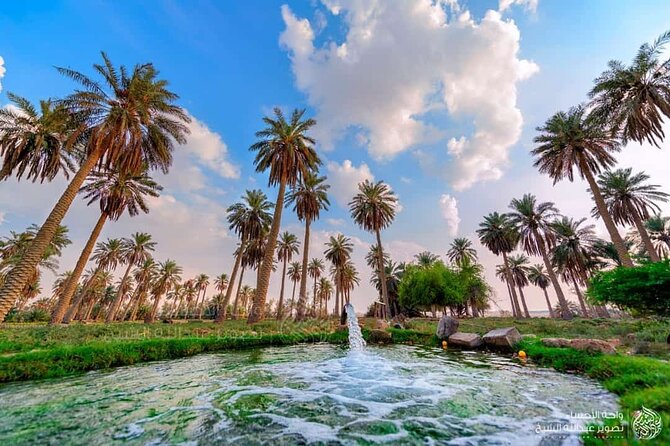 A Tour in Al Ahsa the Largest Oasis in the World - Good To Know