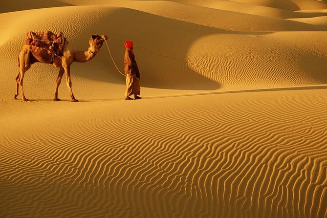 Abu Dhabi Desert Safari With BBQ Dinner , Camel Ride , Bally Dance - Good To Know