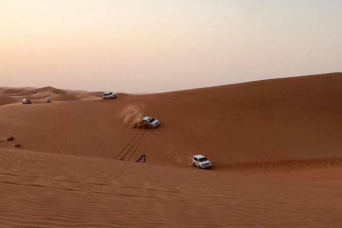 Abu Dhabi Desert Safari With BBQ Dinner,Sandboarding & Camel Ride - Good To Know