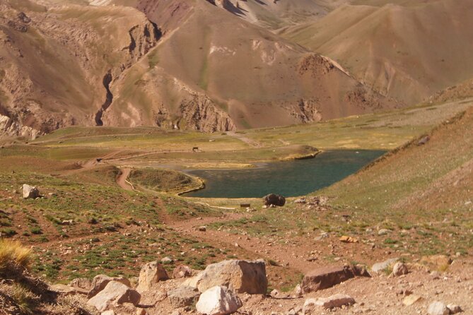 Aconcagua Short Hike, and High Mountain Tour With Barbecue. - Good To Know