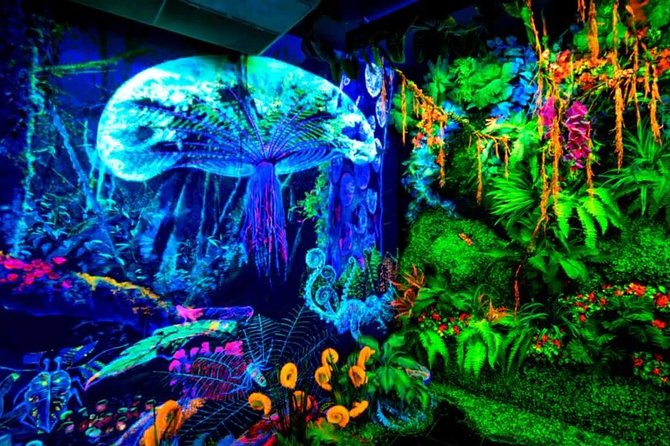 Admission Ticket for Dark Mansion Glow-in-the-Dark Museum in Penang - Good To Know