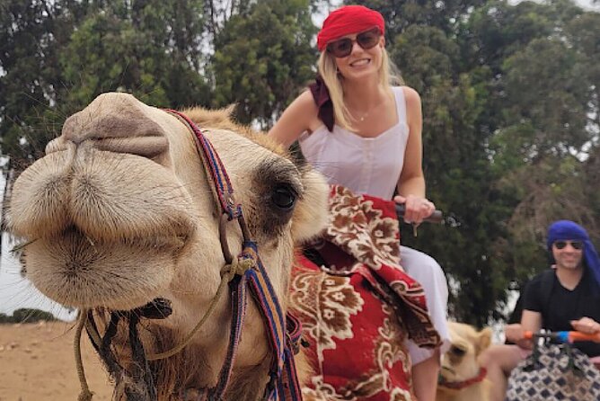 Agadir Camel Rides With Tea Drink & Cakes - Good To Know