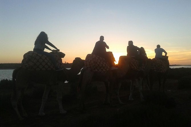 Agadir Camel Riding +Sunset and Dinner( Barbecue) - Experience Overview
