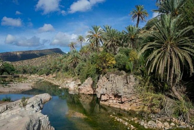 Agadir Paradise Valley Guided Tour Swimming Breakfast & Lunch - Overview of the Tour