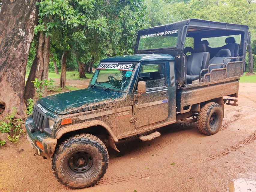 AGN Yala Safari - Leopard Tours - Good To Know