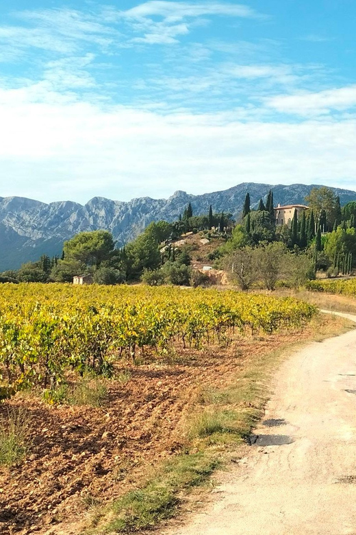 Aix: Well-Being Day: Nature, Yoga, Picnic & Wine Tasting - Key Points