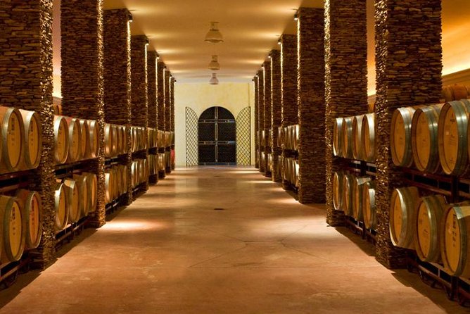 Alentejo Wine Tour From the Algarve - Overview of the Tour