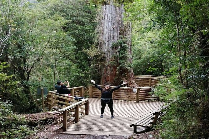 Alerce Andino National Park/Alerce Millenario/Cruises - Good To Know