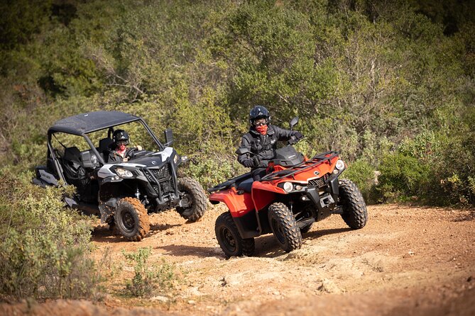 Algarve Buggy or Quad Tour Review - Tour Options and Vehicles