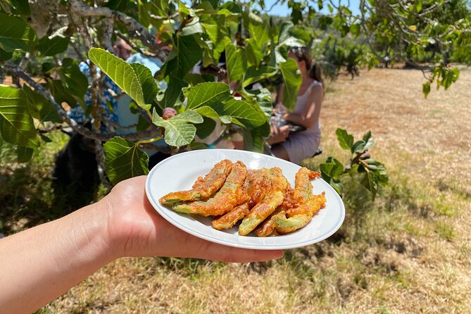 Algarve Mountais Tour With Picnic Lunch - Key Points
