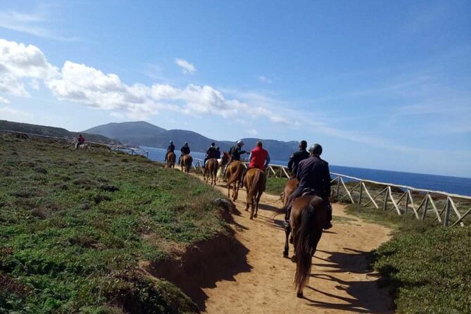 Alghero: Guided Horseback Ride at Lake Baratz & Porto Ferro - Good To Know