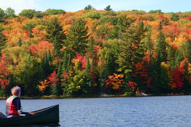 Algonquin Park Luxury 3-Day Camping & Canoeing: Moose/Beaver/Turtle Adventure - Good To Know