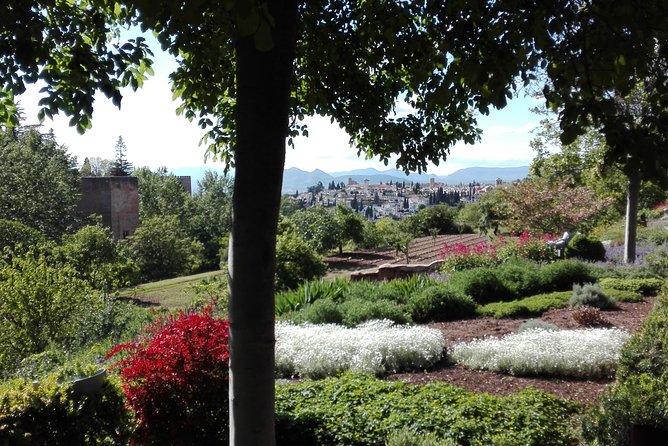 Alhambra Private Tour (Without Tickets) Total/Group Max 15 People - Inquiries and Assistance