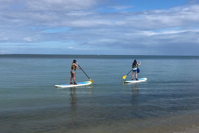 All Day PaddleBoard Rental - Good To Know