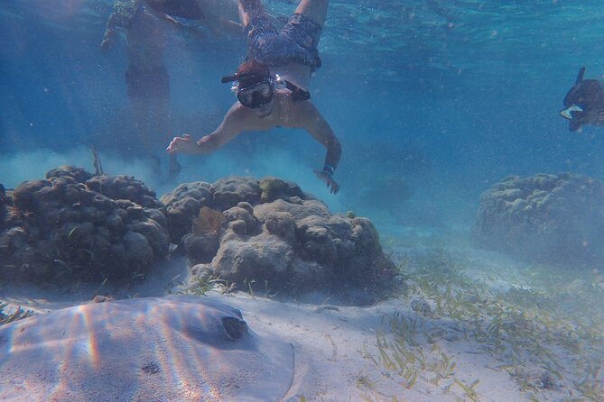 All-Inclusive Full-Day Hol Chan Snorkeling Tour - Good To Know