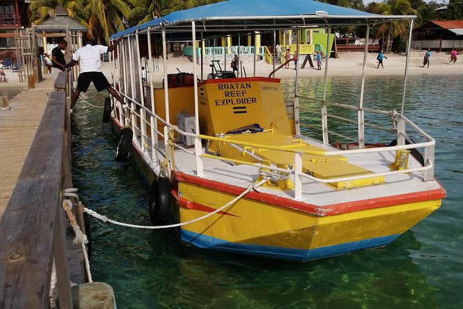 All Inclusive Glass Bottom Boat Wild Life Encounter and Beach - Good To Know