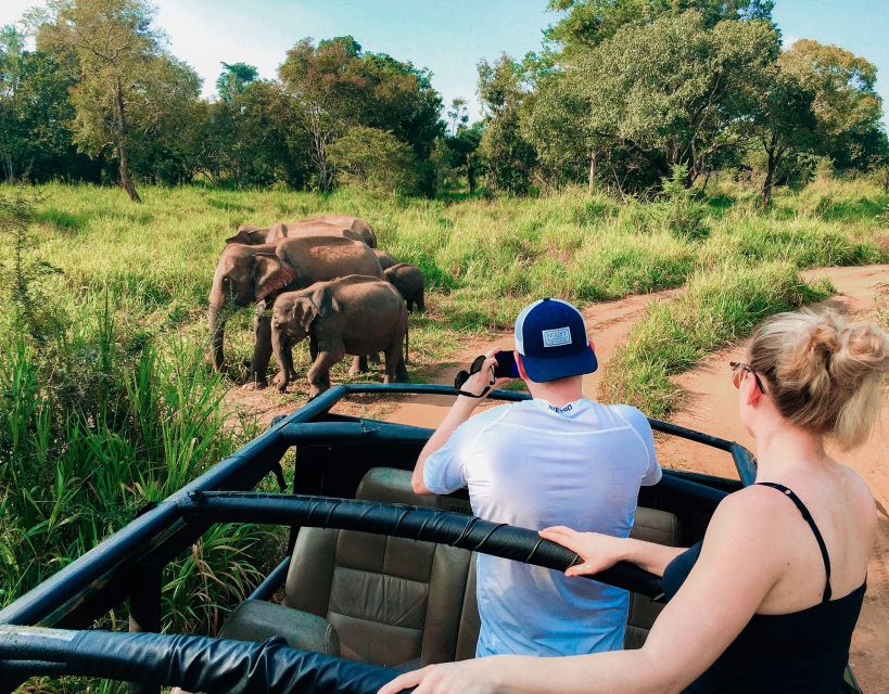 All-Inclusive Habarana Hurulu Eco Park Privet Halfday Safari - Good To Know