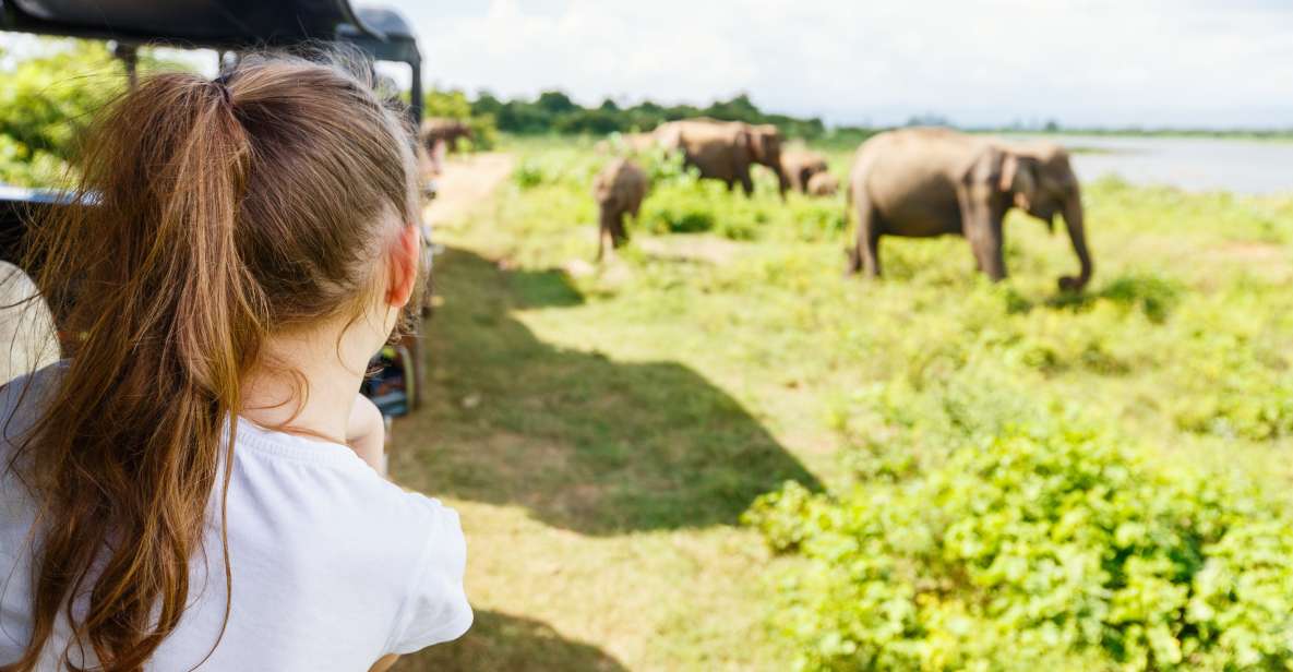 All Inclussive Udawalawa National Park Safari From Colombo - Good To Know