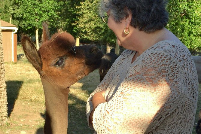 Alpaca Ranch and Fiber Processing Mill Tour - Good To Know