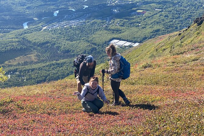 Alpine Classic Trek - Experience Highlights
