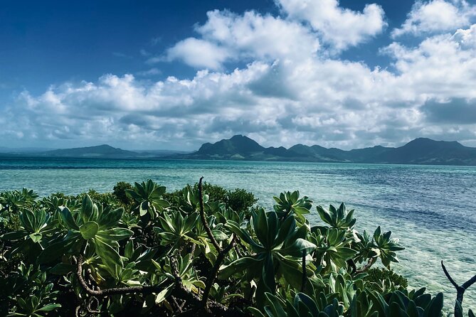 An Excursion of the South East Lagoon of Mauritius - Good To Know