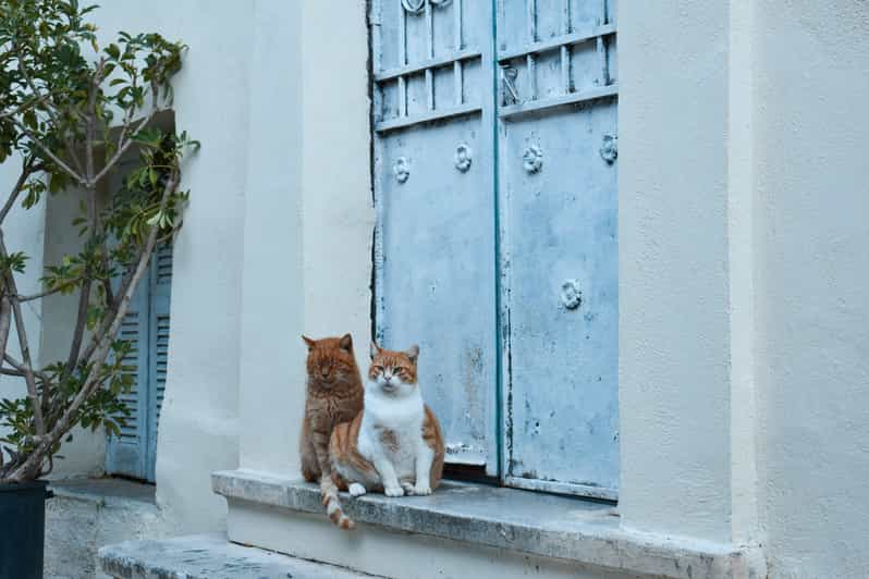 Ancient Athens Uncovered: Exclusive Private Walking Tour - Good To Know