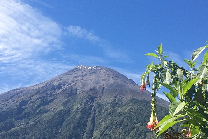 Andes & Amazon, the Triangle Route 5 Days / 4 Nights (Private Trip From Quito) - Overview of the Tour
