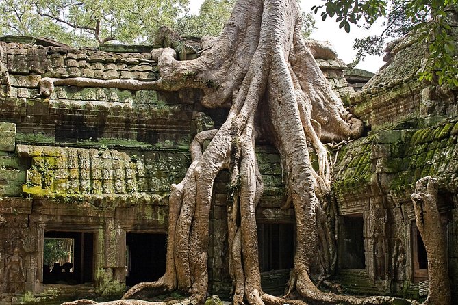 Angkor Wat Sunrise Tour - Overview of the Tour