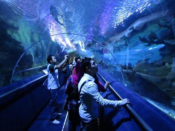 Aquaria KLCC Admission With Kuala Lumpur City Famous Landmarks - Good To Know