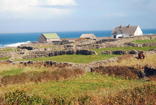 Aran Islands Bike Tour With Tea and Scones From Galway - Good To Know