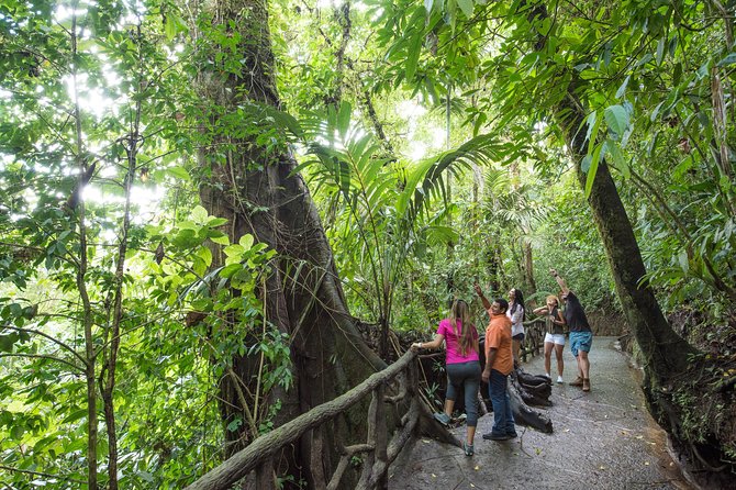 Arenal Volcano, Hanging Bridges and Sloth Encounter Tour. - Tour Overview