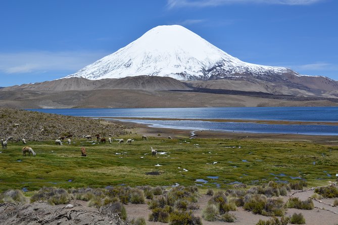 Arica and Parinacota in 2 Days 1 Night - Detailed Itinerary for Two Days