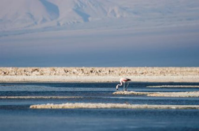 Atacama Desert Program 4 Days - 3 Nights - About Your Stay