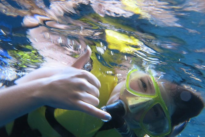 Athens Private Snorkeling and Swimming Cruise With Pick up - Good To Know