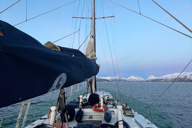 Aurora Borealis Cruise With Dinner in Tromso - Good To Know